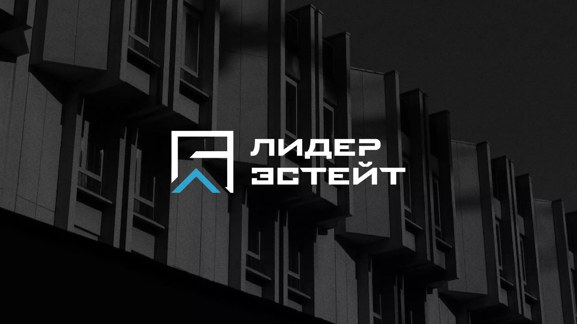 Разработка логотипа агентства недвижимости «Лидер Эстейт» в Дзержинске